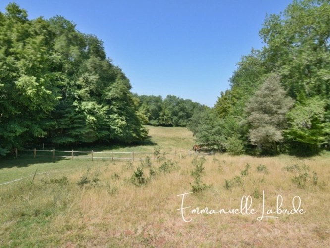 Photos 41 - Prestige - Propriété en pierre avec maison d’amis, piscine et 2,5 hectares LALINDE (24)