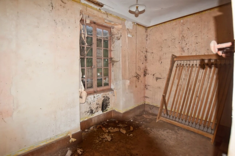 Photos 21 - Prestige - Propriété de 98 m2 à rénover  avec 3401 m2 de terrain à  COUCHES (71)