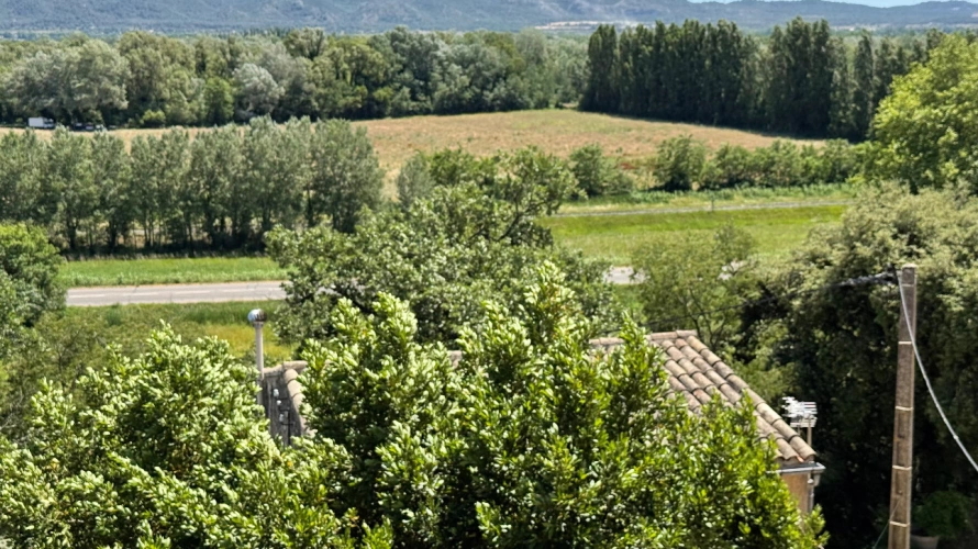 Photos 14 - Prestige - Magnifique bastide au pied du Luberon sur 8,5 hectares