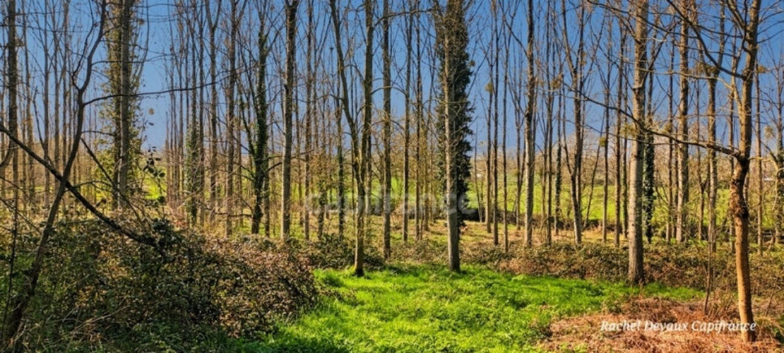 Photos 1 - Rurale - A VENDRE TERRAIN DE LOISIR A PANCE (35)