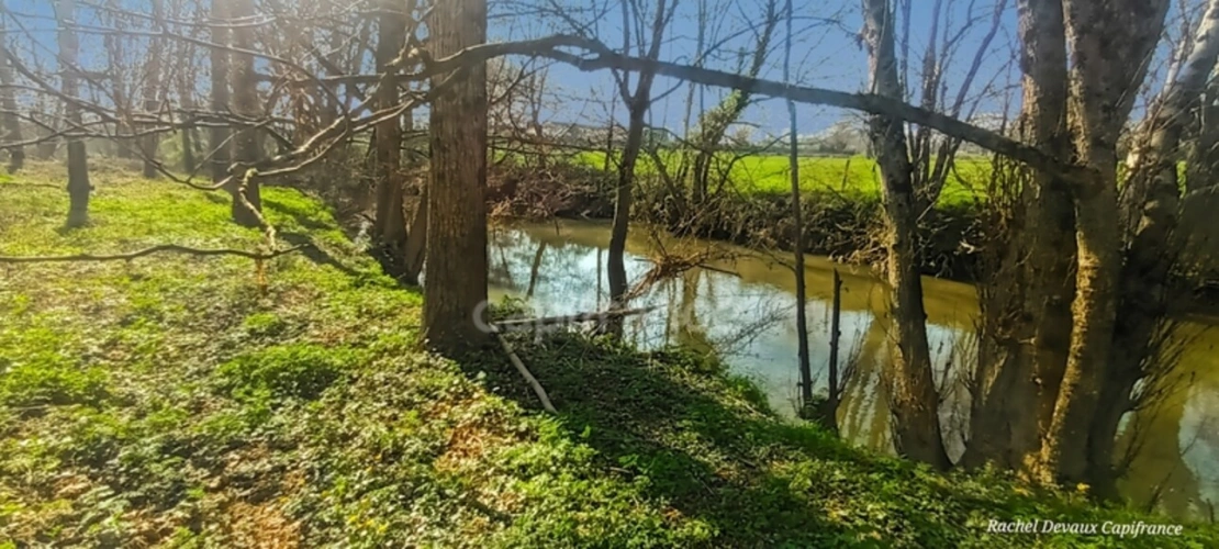 Photos 3 - Rurale - A VENDRE TERRAIN DE LOISIR A PANCE (35)