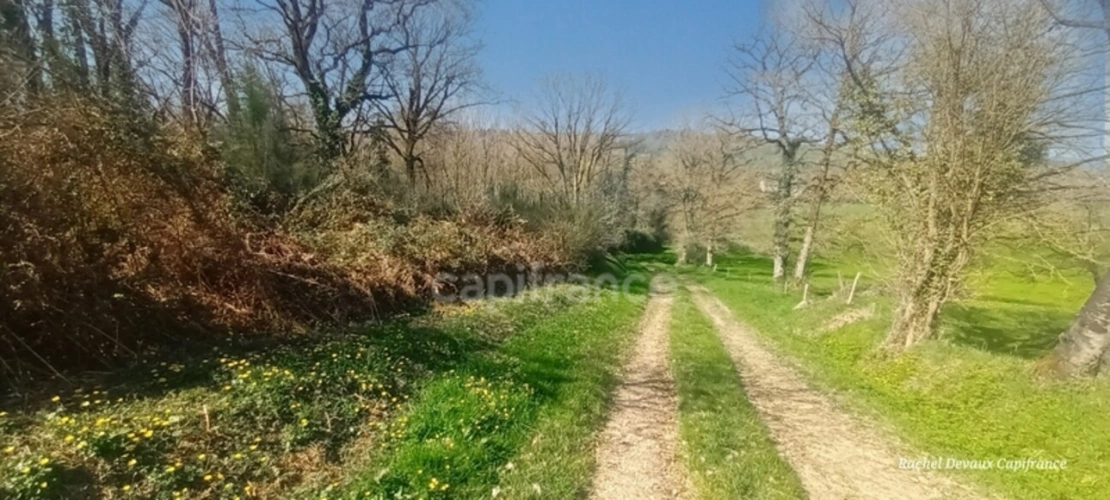 Photos 4 - Rurale - A VENDRE TERRAIN DE LOISIR A PANCE (35)