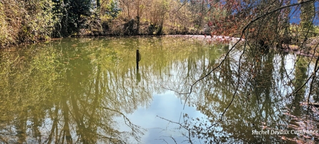 Photos 5 - Rurale - A VENDRE TERRAIN DE LOISIR A PANCE (35)
