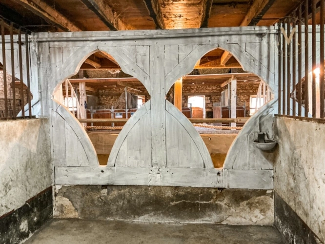 Photos 10 - Équestre - Domaine équestre d’exception sur 40 hectares — Authenticité, nature et passion proche de Penne d’Agenais (47)