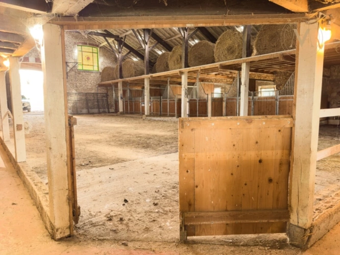 Photos 12 - Équestre - Domaine équestre d’exception sur 40 hectares — Authenticité, nature et passion proche de Penne d’Agenais (47)