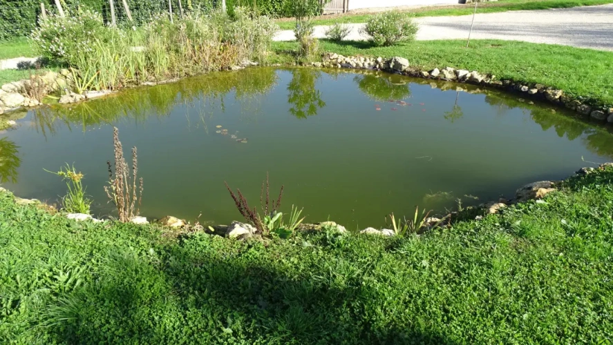 Photos 14 - Touristique - Domaine touristique avec gîtes en activité - Périgueux -  Dordogne