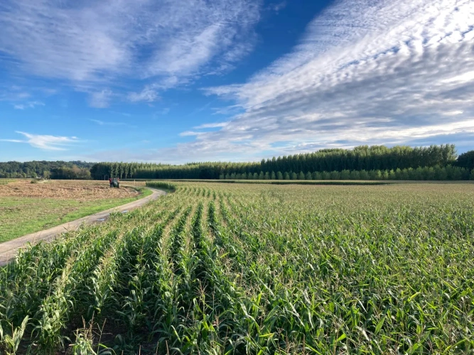 Photos 3 - Agricole - Exploitation agricole de 75ha dont 70ha de terres de vallées (avec irrigation) en Dordogne (24)