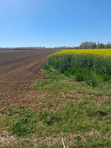 Photos 7 - Agricole - Exploitation agricole de 75ha dont 70ha de terres de vallées (avec irrigation) en Dordogne (24)