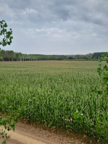 Photos 18 - Agricole - Exploitation agricole de 75ha dont 70ha de terres de vallées (avec irrigation) en Dordogne (24)