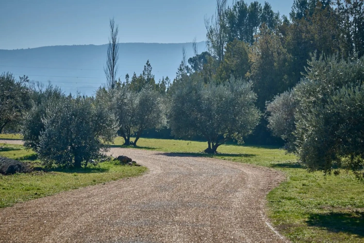 Photos 5 - Prestige - Domaine d’exception au cœur du Luberon – Goult