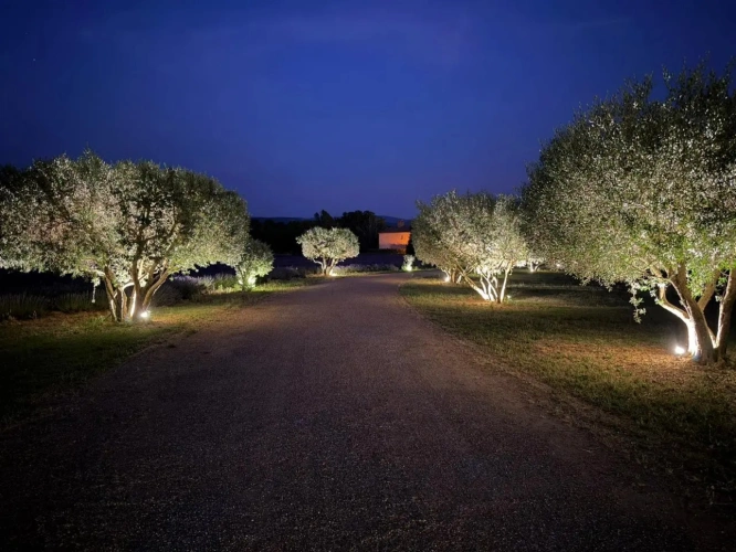 Photos 18 - Prestige - Domaine d’exception au cœur du Luberon – Goult