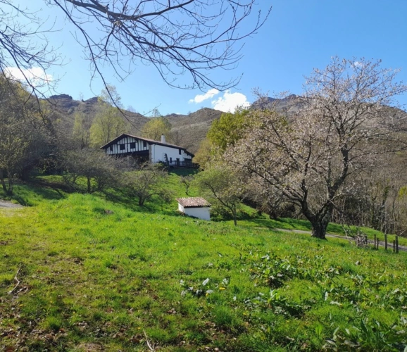 Photos 1 - Rurale - Propriete à vendre 7 pièces SARE (64)