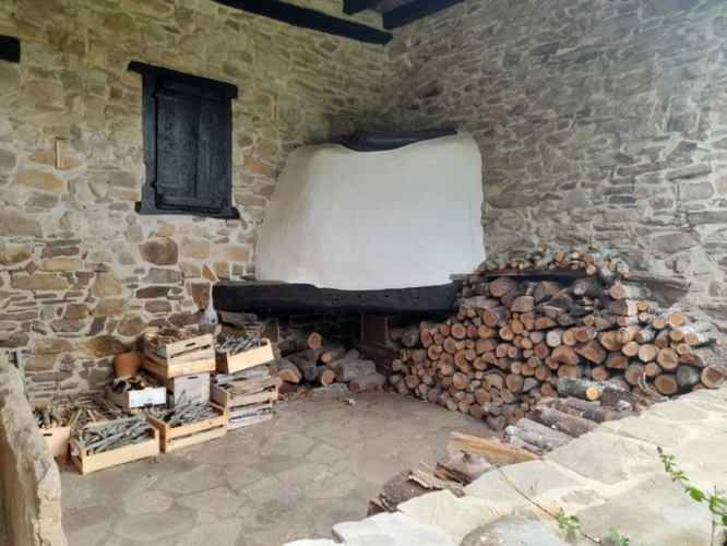 Photos 3 - Rurale - Propriete à vendre 7 pièces SARE (64)