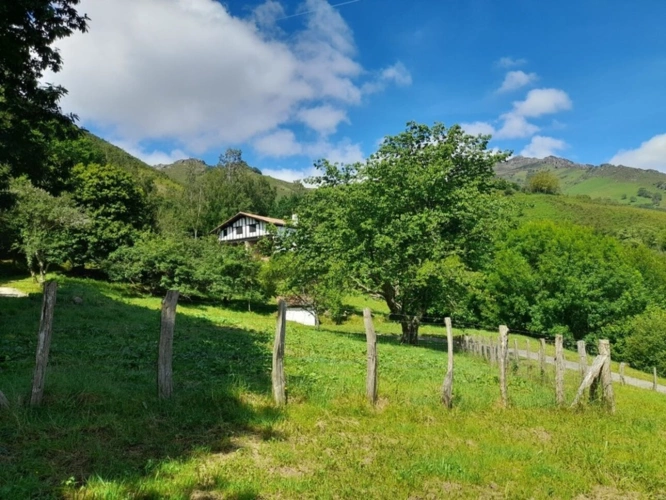 Photos 14 - Rurale - Propriete à vendre 7 pièces SARE (64)