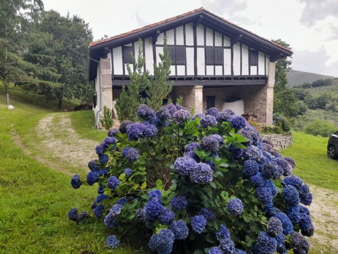 Photos 15 - Rurale - Propriete à vendre 7 pièces SARE (64)