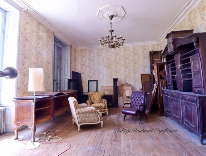 Photos 5 - Prestige - Château du XVIIᵉ siècle à vendre, 17 pièces, FOUSSAIS PAYRE (85)