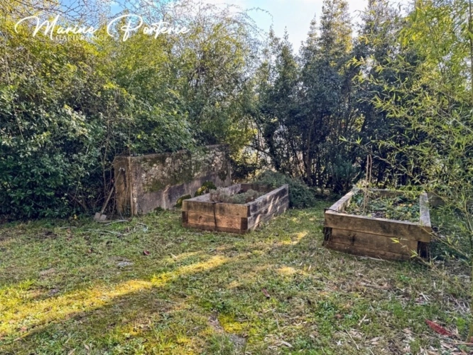 Photos 41 - Rurale - Propriété de charme en pierre – volumes exceptionnels – piscine – vue dégagée – proche Auch