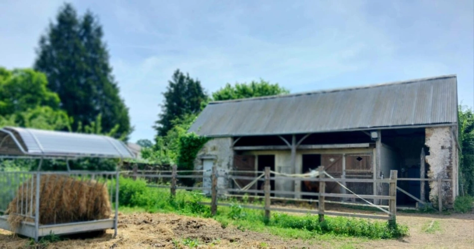 Photos 26 - Équestre - Propriété , maison dépendances et sur 1.9 hectare de terrain
