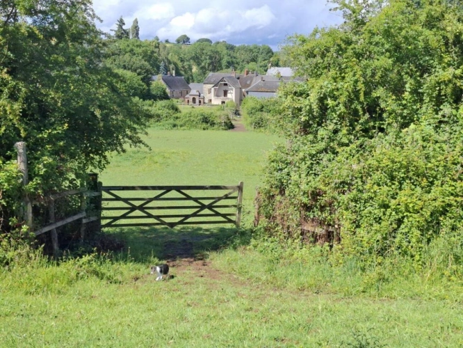 Photos 3 - Équestre - Propriété , maison dépendances et sur 1.9 hectare de terrain