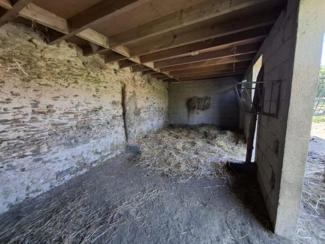 Photos 7 - Équestre - Propriété , maison dépendances et sur 1.9 hectare de terrain