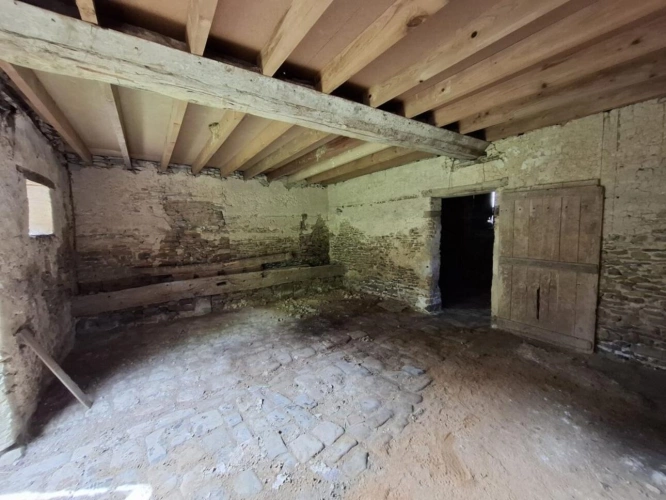 Photos 10 - Équestre - Propriété , maison dépendances et sur 1.9 hectare de terrain