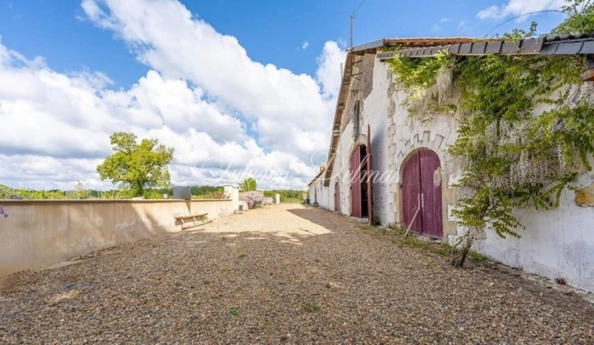 Photos 7 - Prestige - Propriete à vendre 11 pièces LANGEAIS (37)