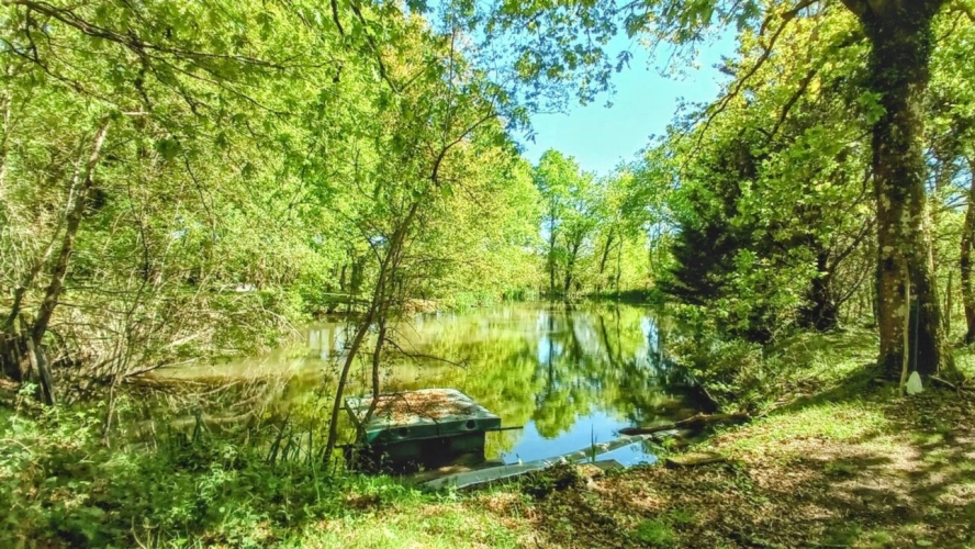 Photos 7 - Touristique - Propriété de caractère sur 4 hectares - 3 dépendances, étang