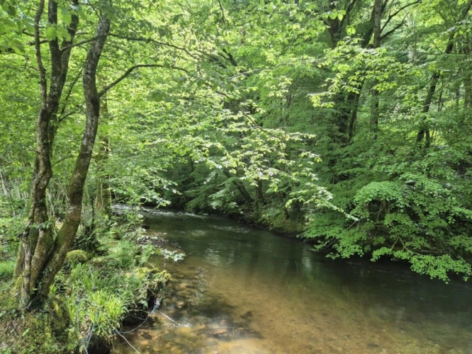 Photos 2 - Rurale - Ensemble immobilier atypique en pleine nature