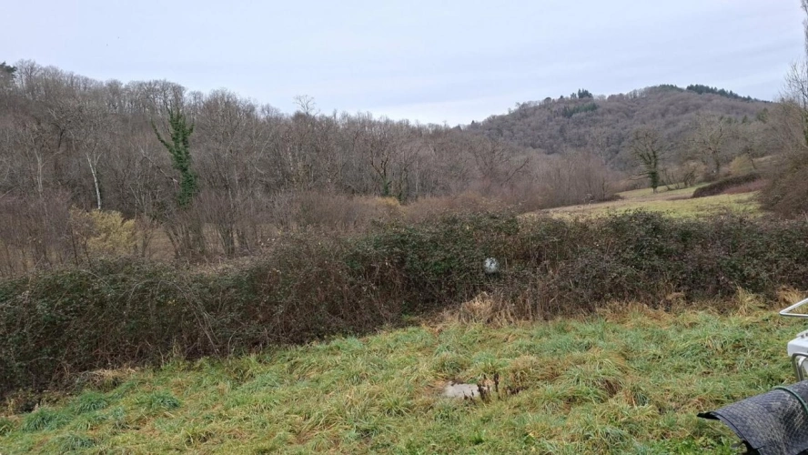 Photos 7 - Rurale - Ensemble immobilier atypique en pleine nature