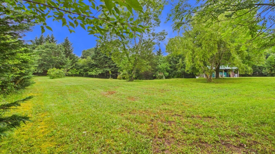 Photos 3 - Forestière - Terrain constructible de 2 244 m² avec forêt de 2 hectares