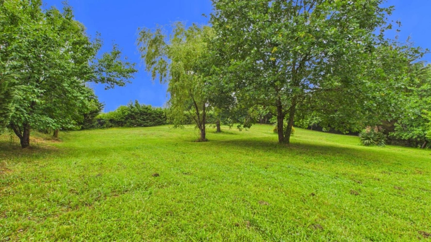 Photos 4 - Forestière - Terrain constructible de 2 244 m² avec forêt de 2 hectares