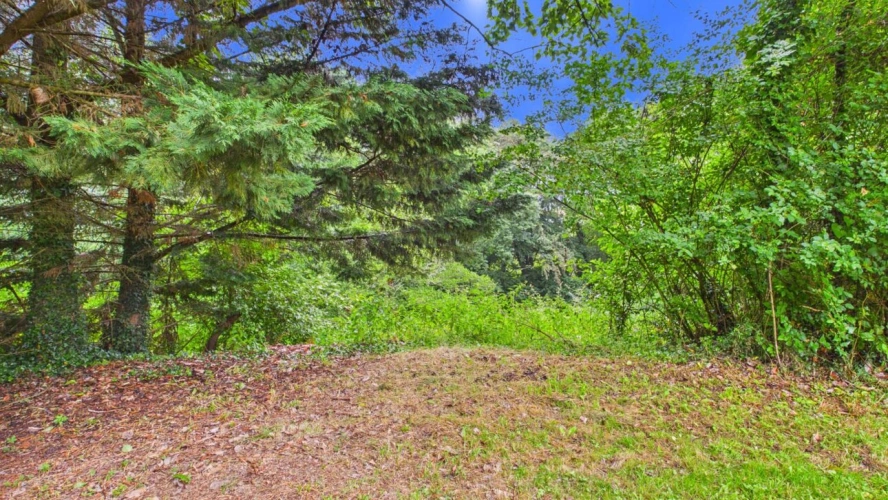 Photos 5 - Forestière - Terrain constructible de 2 244 m² avec forêt de 2 hectares