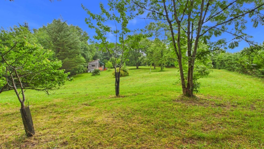 Photos 8 - Forestière - Terrain constructible de 2 244 m² avec forêt de 2 hectares