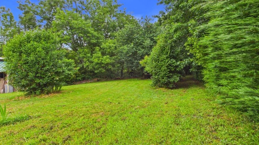 Photos 9 - Forestière - Terrain constructible de 2 244 m² avec forêt de 2 hectares