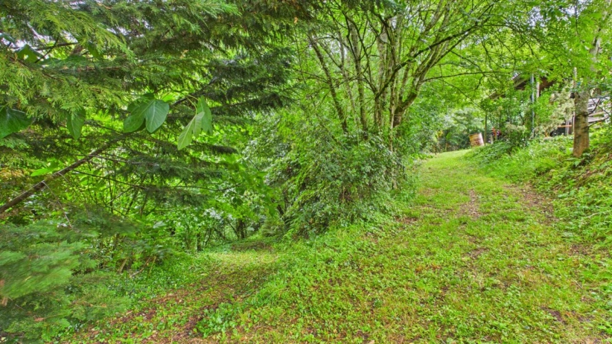 Photos 10 - Forestière - Terrain constructible de 2 244 m² avec forêt de 2 hectares