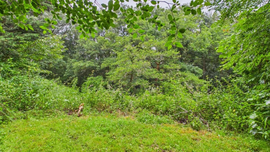 Photos 11 - Forestière - Terrain constructible de 2 244 m² avec forêt de 2 hectares