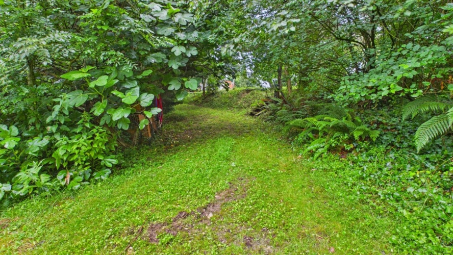 Photos 12 - Forestière - Terrain constructible de 2 244 m² avec forêt de 2 hectares