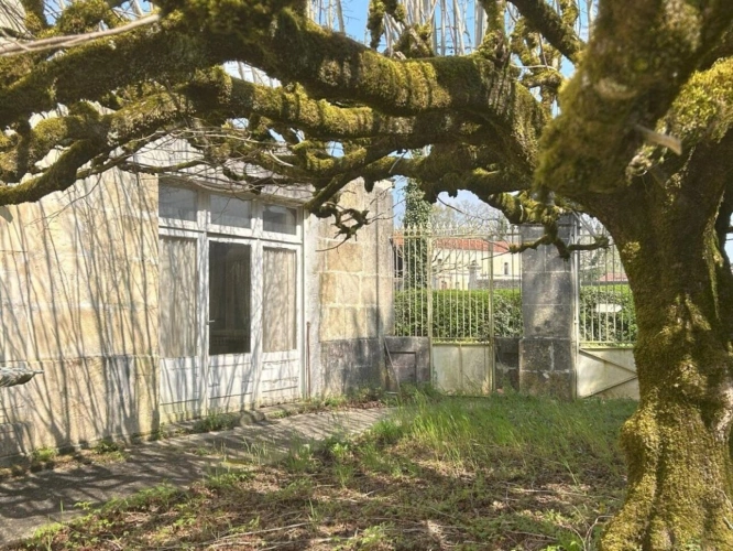 Photos 7 - Viticole - Ancienne propriété viticole avec maison bourgeoise (232 m²) et dépendance de 244 m²