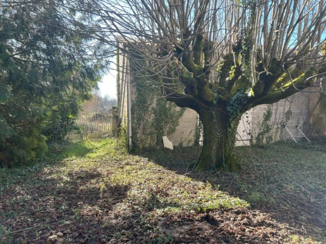 Photos 10 - Viticole - Ancienne propriété viticole avec maison bourgeoise (232 m²) et dépendance de 244 m²