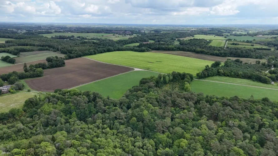 Photos 1 - Forestière - Massif forestier d’un seul tenant au cœur du Morbihan