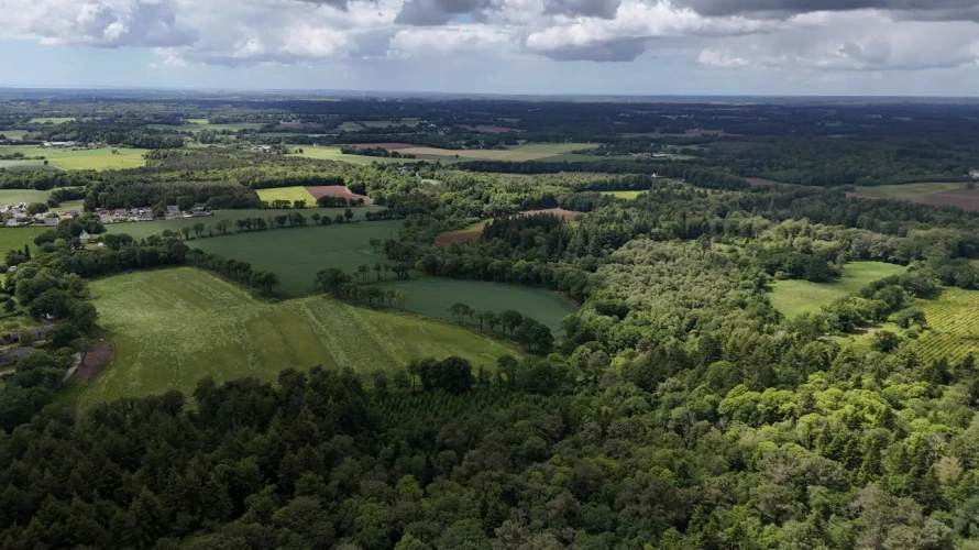 Photos 2 - Forestière - Massif forestier d’un seul tenant au cœur du Morbihan