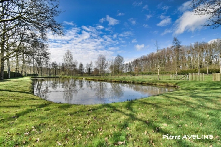Photos 3 - Forestière - Terrain à vendre  ARGENVILLIERS (28)