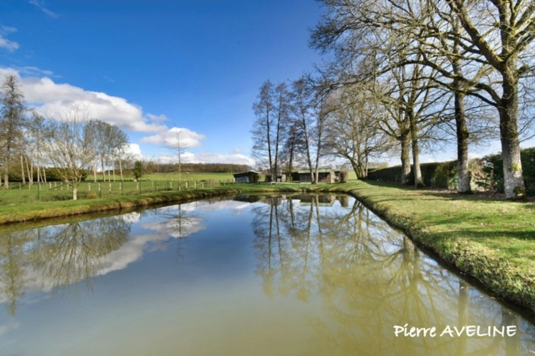 Photos 10 - Forestière - Terrain à vendre  ARGENVILLIERS (28)