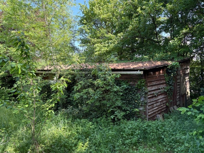 Photos 4 - Équestre - Propriété atypique et inspirante en pleine nature