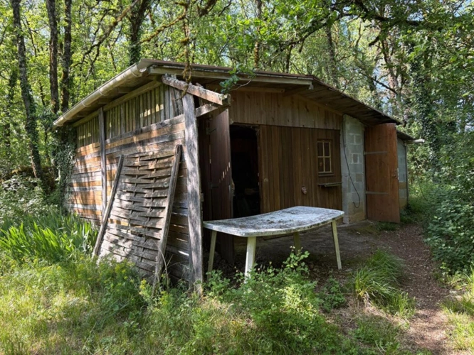 Photos 11 - Équestre - Propriété atypique et inspirante en pleine nature