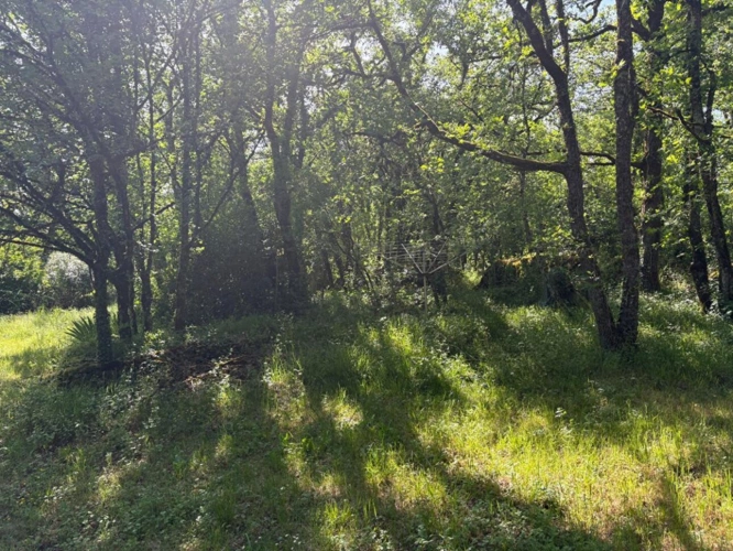 Photos 12 - Équestre - Propriété atypique et inspirante en pleine nature