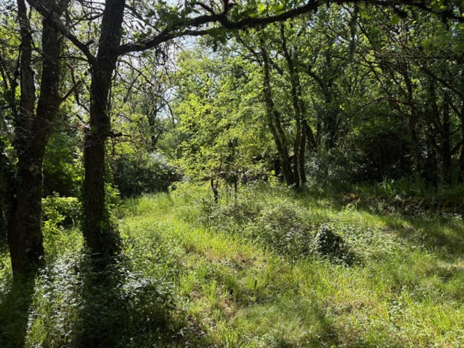 Photos 13 - Équestre - Propriété atypique et inspirante en pleine nature