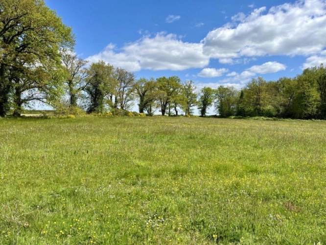Photos 10 - Equestrian - Two big renovated houses and a studio, on 14 hectares.