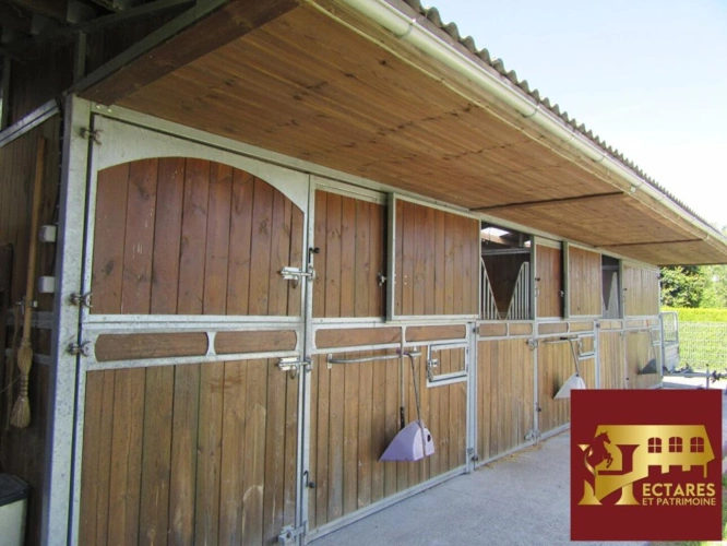 Photos 4 - Équestre - Maison Arras 6 pièce(s) 160 m2