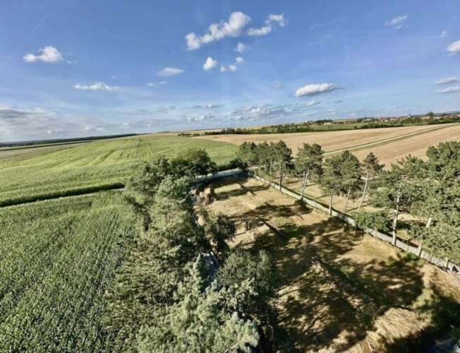 Photos 2 - Prestige - Propriété